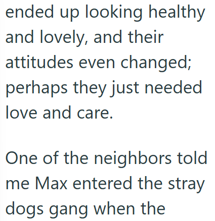 ended up looking healthy and lovely, and their attitudes even changed; perhaps they just needed love and care. One of the neighbors told me Max entered the stray dogs gang when the