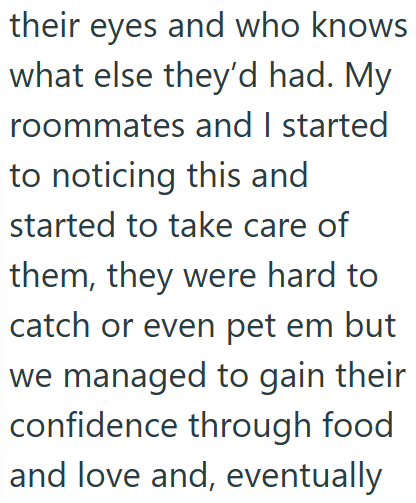 their eyes and who knows what else they'd had. My roommates and I started to noticing this and started to take care of them, they were hard to catch or even pet em but we managed to gain their confidence through food and love and, eventually