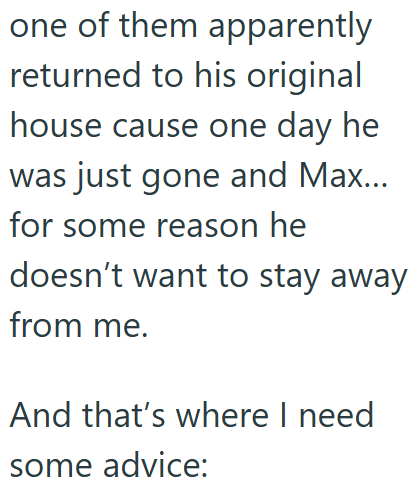 one of them apparently returned to his original house cause one day he was just gone and Max... for some reason he doesn't want to stay away from me. And that's where I need some advice: