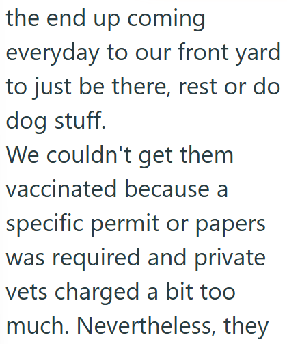 the end up coming everyday to our front yard to just be there, rest or do dog stuff. We couldn't get them vaccinated because a specific permit or papers was required and private vets charged a bit too much. Nevertheless, they