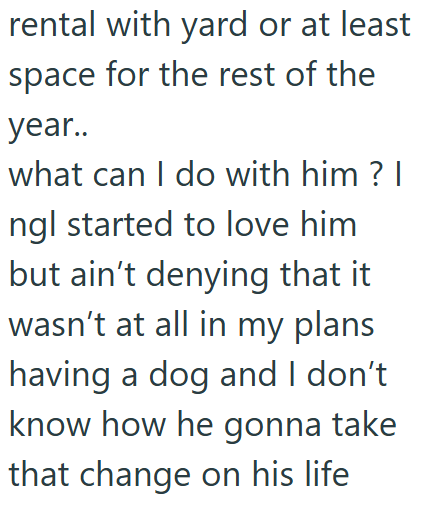 rental with yard or at least space for the rest of the year.. what can I do with him? I ngl started to love him but ain't denying that it wasn't at all in my plans having a dog and I don't know how he gonna take that change on his life