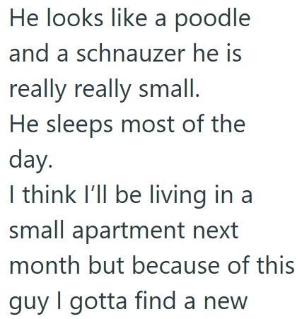 He looks like a poodle and a schnauzer he is really really small. He sleeps most of the day. I think I'll be living in a small apartment next month but because of this guy I gotta find a new