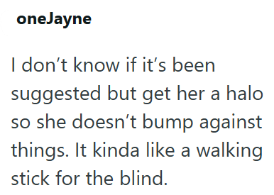 oneJayne I don't know if it's been suggested but get her a halo so she doesn't bump against things. It kinda like a walking stick for the blind.