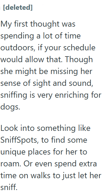 [deleted] My first thought was spending a lot of time outdoors, if your schedule would allow that. Though she might be missing her sense of sight and sound, sniffing is very enriching for dogs. Look into something like SniffSpots, to find some unique places for her to roam. Or even spend extra time on walks to just let her sniff.