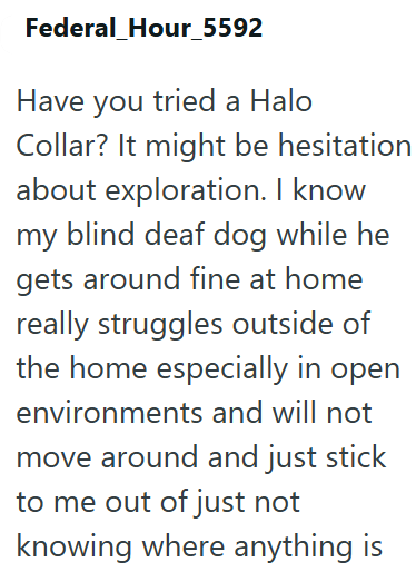 Federal_Hour_5592 Have you tried a Halo Collar? It might be hesitation about exploration. I know my blind deaf dog while he gets around fine at home really struggles outside of the home especially in open environments and will not move around and just stick to me out of just not knowing where anything is