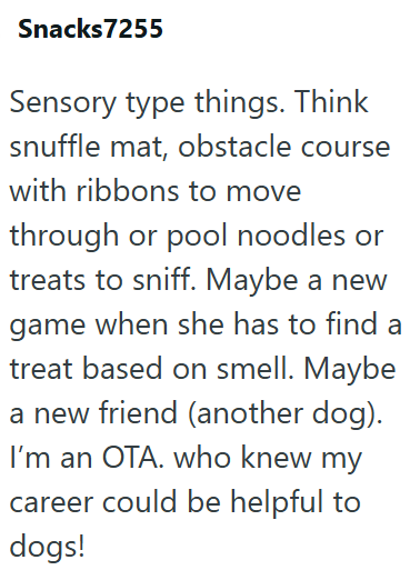 Snacks 7255 Sensory type things. Think snuffle mat, obstacle course with ribbons to move through or pool noodles or treats to sniff. Maybe a new game when she has to find a treat based on smell. Maybe a new friend (another dog). I'm an OTA. who knew my career could be helpful to dogs!