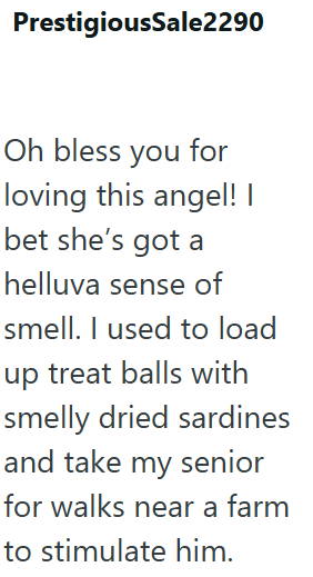 PrestigiousSale2290 Oh bless you for loving this angel! I bet she's got a helluva sense of smell. I used to load up treat balls with smelly dried sardines and take my senior for walks near a farm to stimulate him.