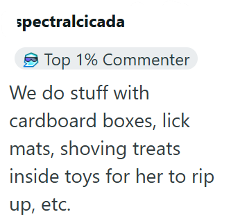 spectralcicada Top 1% Commenter We do stuff with cardboard boxes, lick mats, shoving treats inside toys for her to rip up, etc.