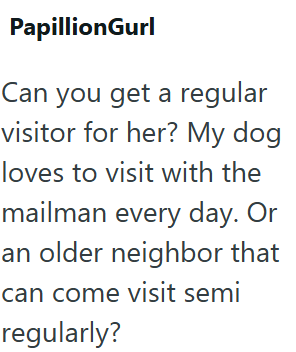 PapillionGurl Can you get a regular visitor for her? My dog loves to visit with the mailman every day. Or an older neighbor that can come visit semi regularly?