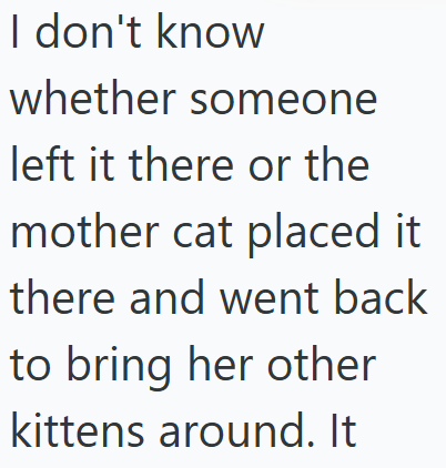 I don't know whether someone left it there or the mother cat placed it there and went back to bring her other kittens around. It