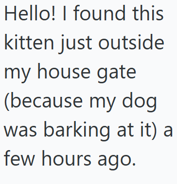 Hello! I found this kitten just outside my house gate (because my dog was barking at it) a few hours ago.