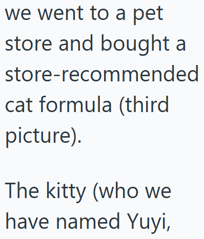 we went to a pet store and bought a store-recommended cat formula (third picture). The kitty (who we have named Yuyi,