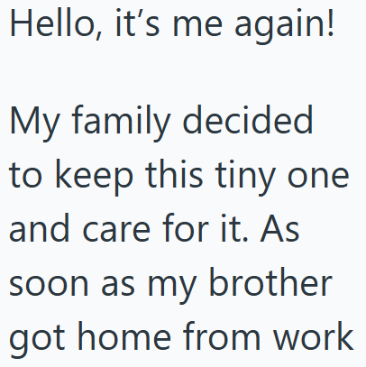 Hello, it's me again! My family decided to keep this tiny one and care for it. As soon as my brother got home from work