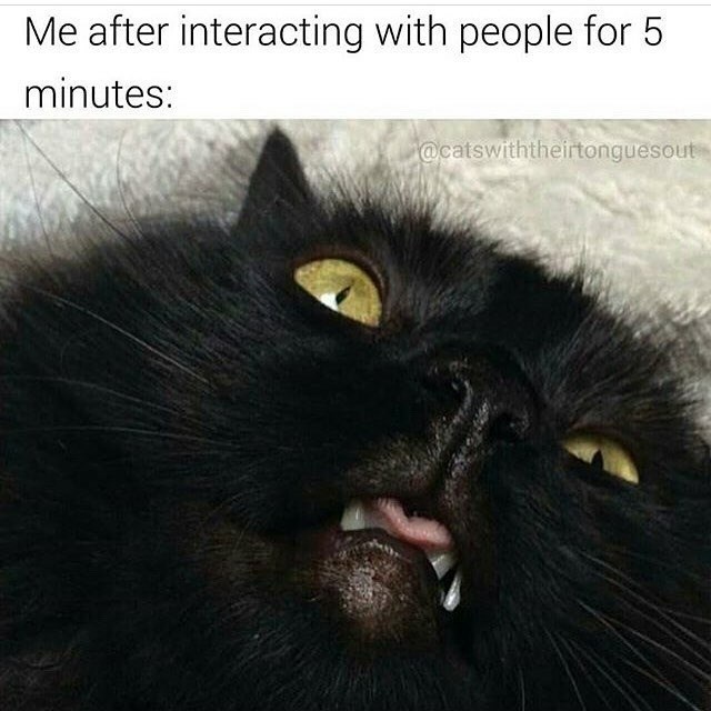 Me after interacting with people for 5 minutes: @catswiththeirtonguesout