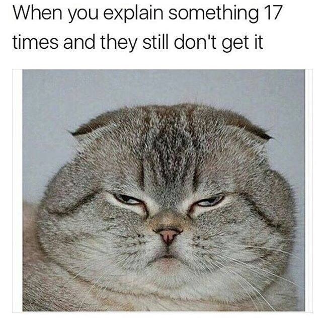 When you explain something 17 times and they still don't get it