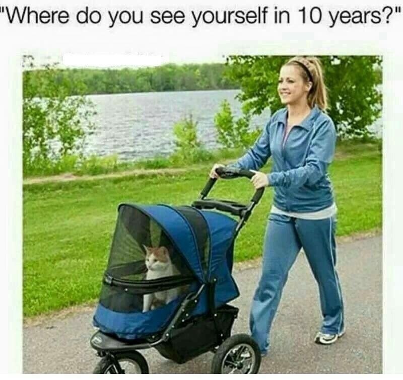 "Where do you see yourself in 10 years?"
