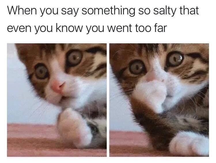 When you say something so salty that even you know you went too far