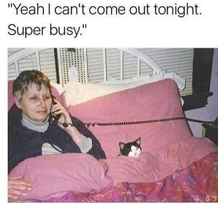 "Yeah I can't come out tonight. Super busy." 88