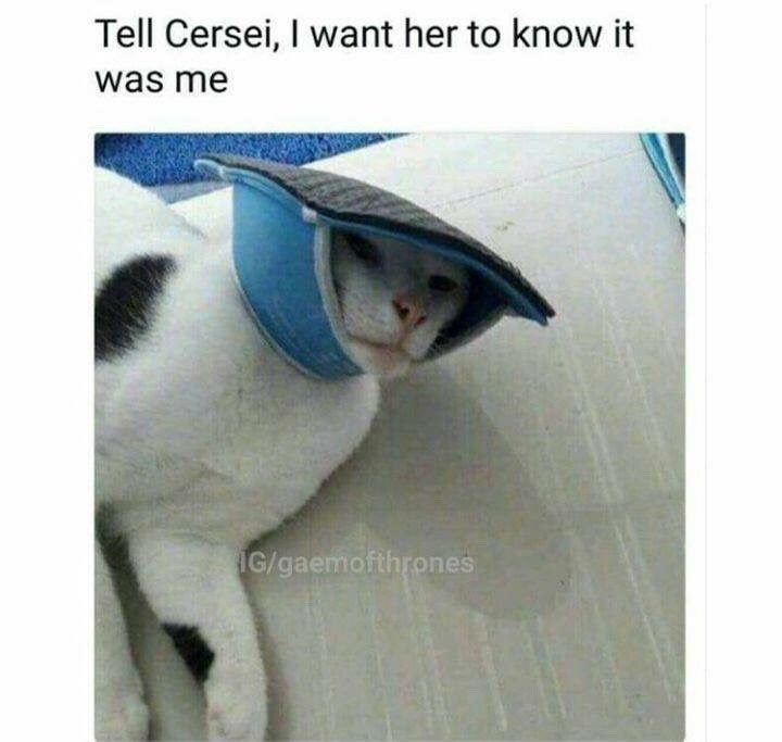 Tell Cersei, I want her to know it was me IG/gaemofthrones