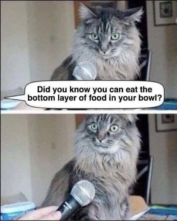 Did you know you can eat the bottom layer of food in your bowl?
