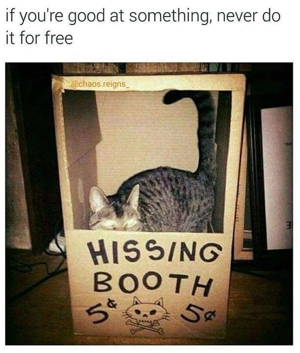 if you're good at something, never do it for free @chaos.reigns_ HISSING BOOTH 5¢ 54