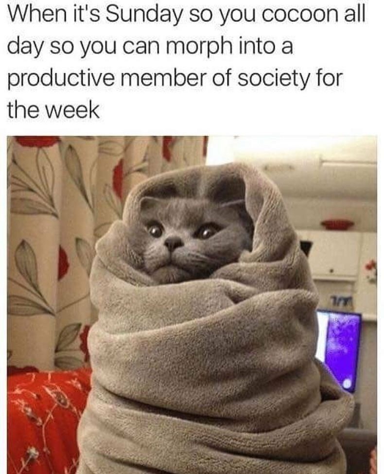 When it's Sunday so you cocoon all day so you can morph into a productive member of society for the week