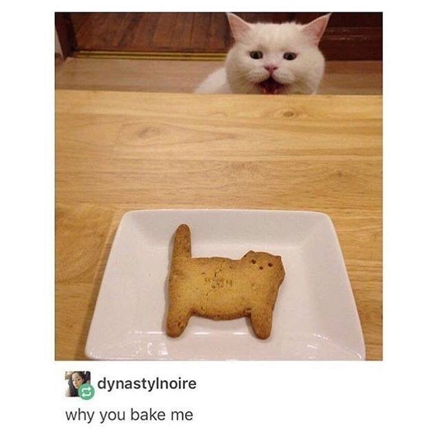 dynastylnoire why you bake me