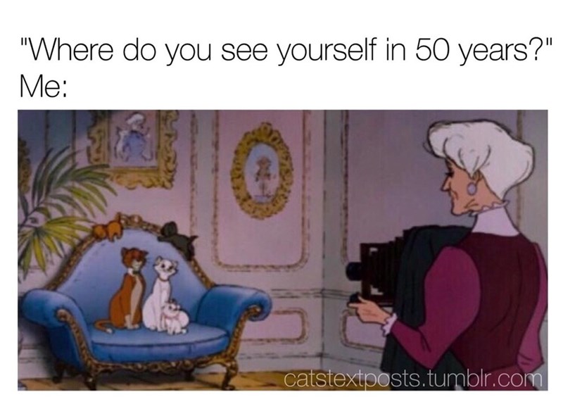"Where do you see yourself in 50 years?" Me: catstextposts.tumblr.com