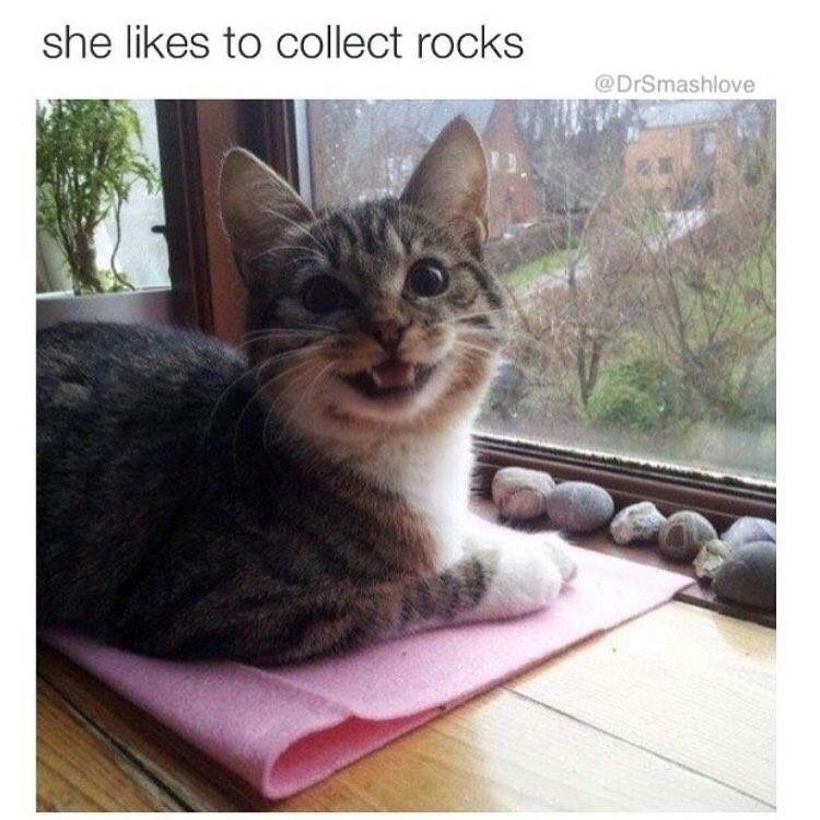 she likes to collect rocks @DrSmashlove