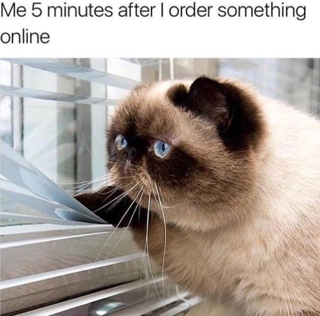 Me 5 minutes after I order something online