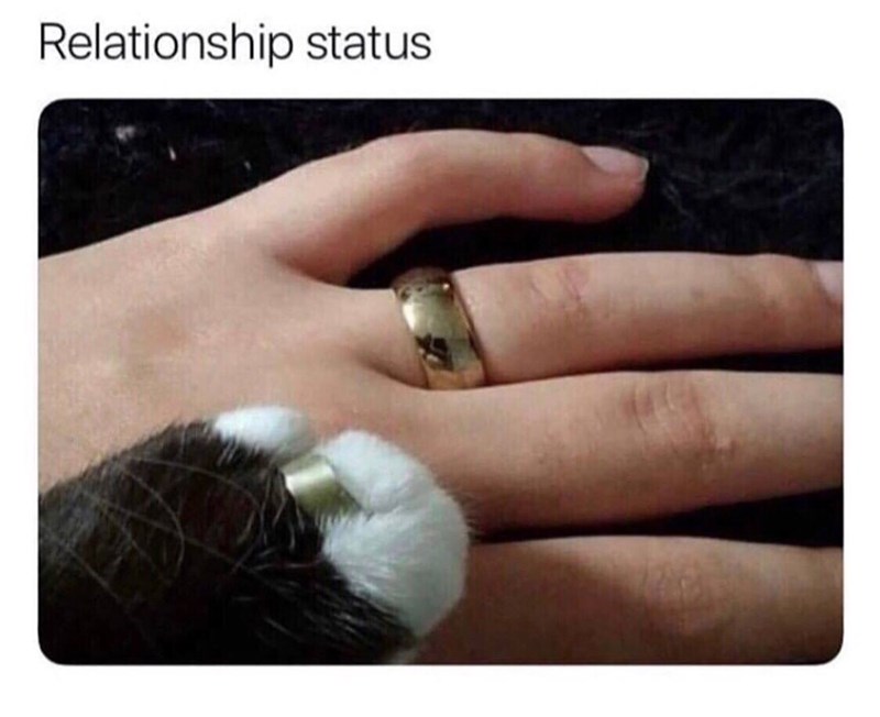 Relationship status