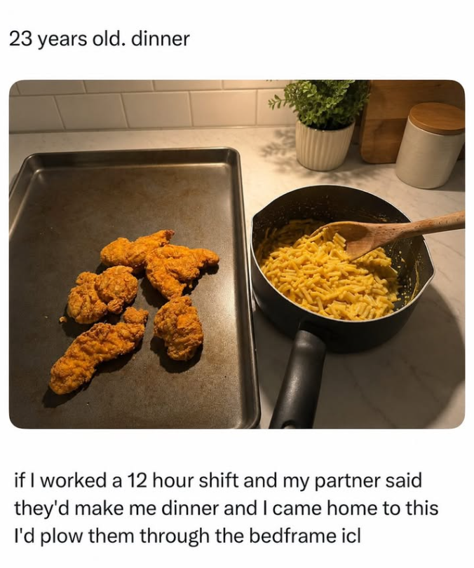23 years old. dinner if I worked a 12 hour shift and my partner said they'd make me dinner and I came home to this I'd plow them through the bedframe icl