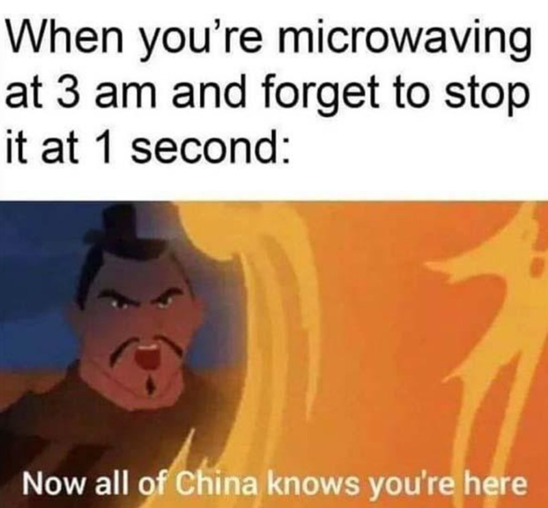 When you're microwaving at 3 am and forget to stop it at 1 second: Now all of China knows you're here