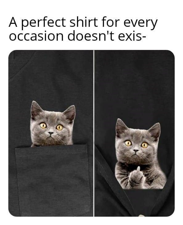 A perfect shirt for every occasion doesn't exis-