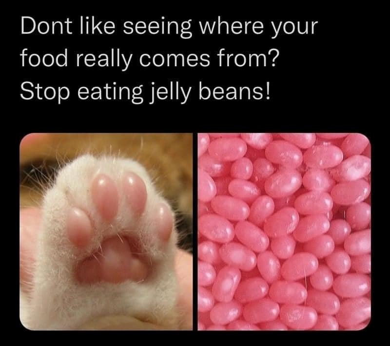 Dont like seeing where your food really comes from? Stop eating jelly beans!