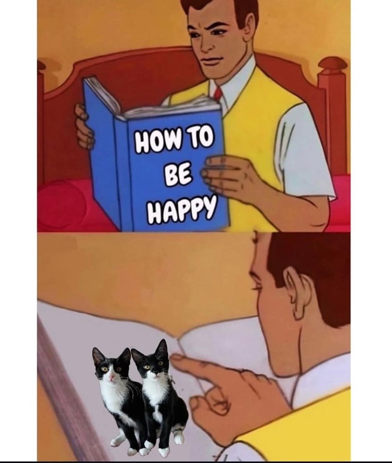 HOW TO BE HAPPY