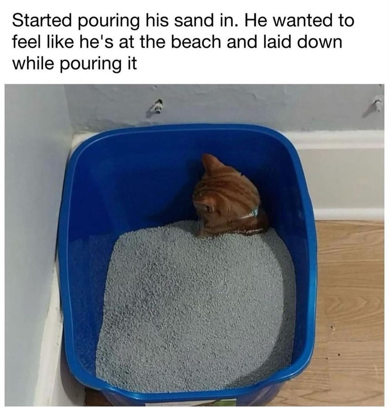 Started pouring his sand in. He wanted to feel like he's at the beach and laid down while pouring it