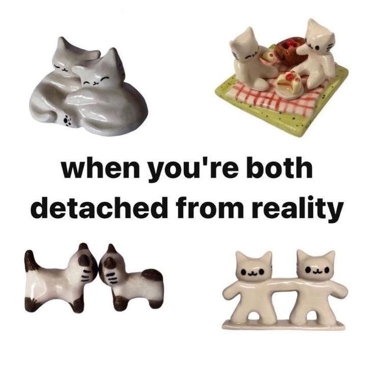 when you're both detached from reality