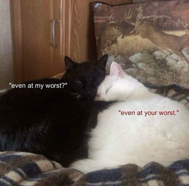 "even at my worst?" @saiwormoon @luvicle "even at your worst.'