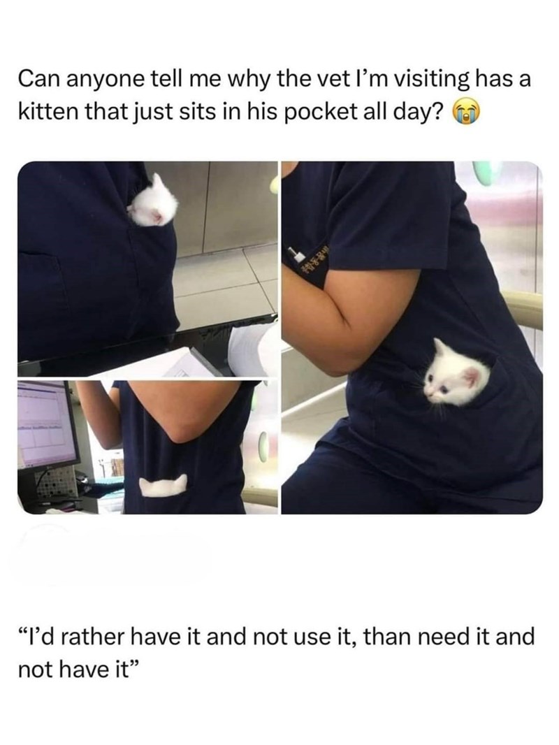 Can anyone tell me why the vet I'm visiting has a kitten that just sits in his pocket all day? 종합동물배 "I'd rather have it and not use it, than need it and not have it"