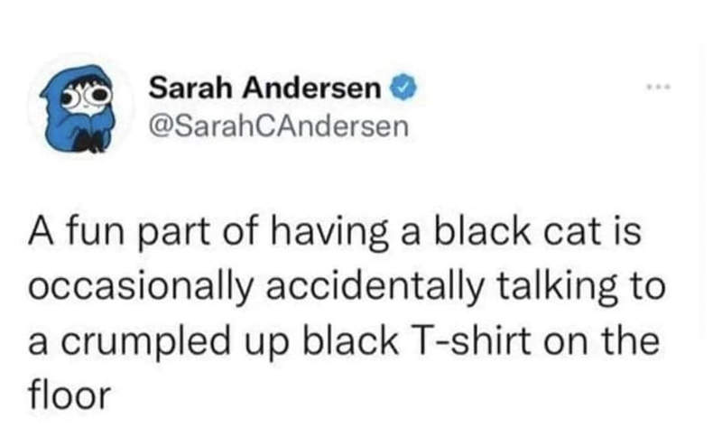 Sarah Andersen ✔ @SarahCAndersen *** A fun part of having a black cat is occasionally accidentally talking to a crumpled up black T-shirt on the floor