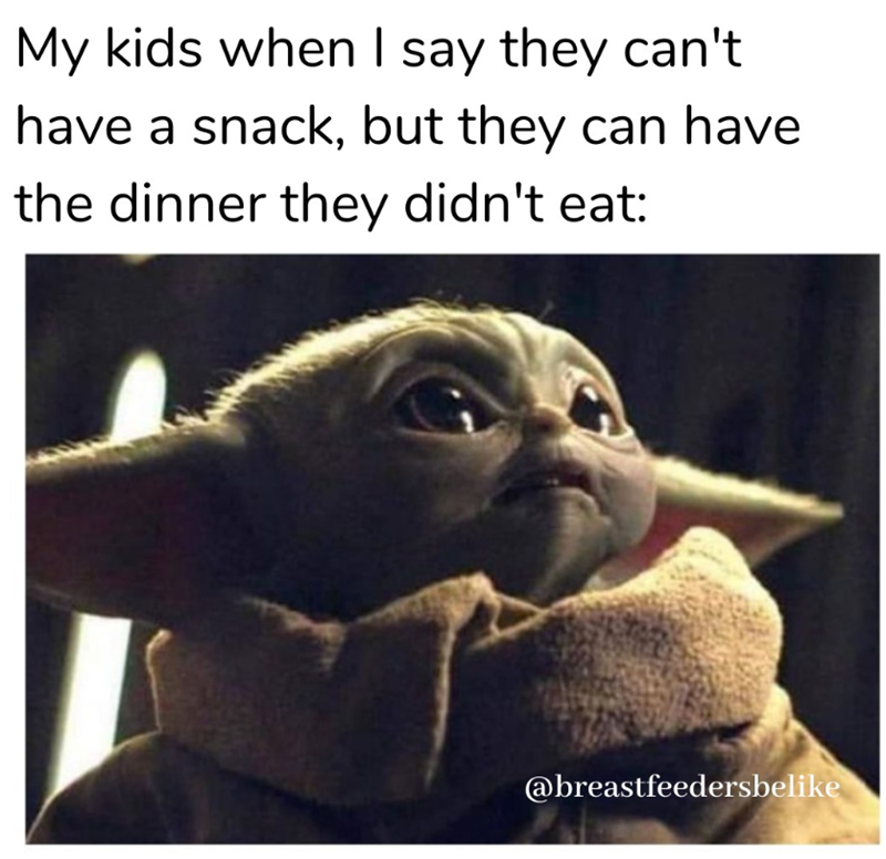 My kids when I say they can't have a snack, but they can have the dinner they didn't eat: @breastfeedersbelike