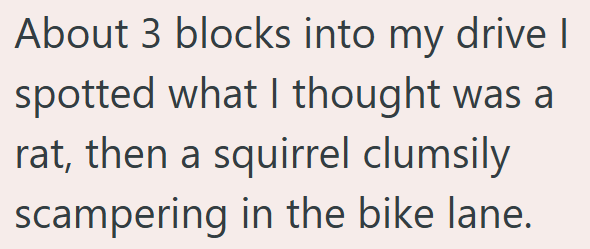 About 3 blocks into my drive I spotted what I thought was a rat, then a squirrel clumsily scampering in the bike lane.