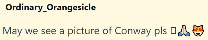 Ordinary_Orangesicle May we see a picture of Conway pls □