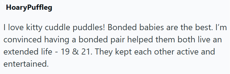 HoaryPuffleg I love kitty cuddle puddles! Bonded babies are the best. I'm convinced having a bonded pair helped them both live an extended life - 19 & 21. They kept each other active and entertained.