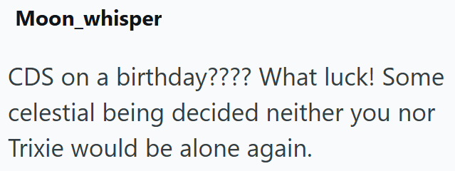 Moon_whisper CDS on a birthday???? What luck! Some celestial being decided neither you nor Trixie would be alone again.