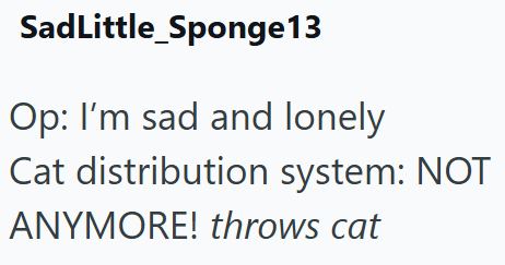 SadLittle_Sponge13 Op: I'm sad and lonely Cat distribution system: NOT ANYMORE! throws cat