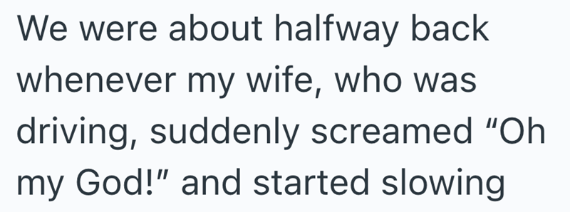 We were about halfway back whenever my wife, who was driving, suddenly screamed "Oh my God!" and started slowing
