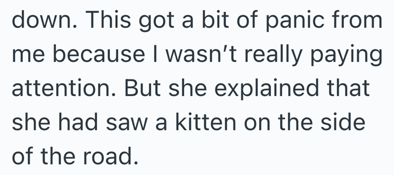 down. This got a bit of panic from me because I wasn't really paying attention. But she explained that she had saw a kitten on the side of the road.