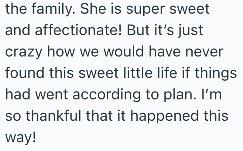 the family. She is super sweet and affectionate! But it's just crazy how we would have never found this sweet little life if things had went according to plan. I'm so thankful that it happened this way!